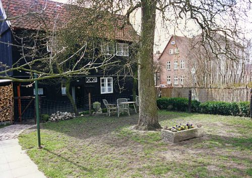 Bild vergrößern: Die Rückseite des Hauses Domhof 48 mit dem 2008 gefällten Birnbaum