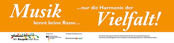 Bild vergrößern: Rassismuskampagne der Partnerschaft für Demokratie der Stadt Ratzeburg und des Amtes Lauenburgisch Seen