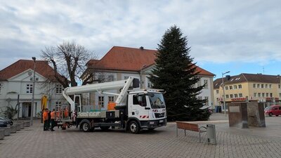 Ein Baum aus Ratzeburg ziert den Ratzeburger Marktplatz in der Weihnachtszeit